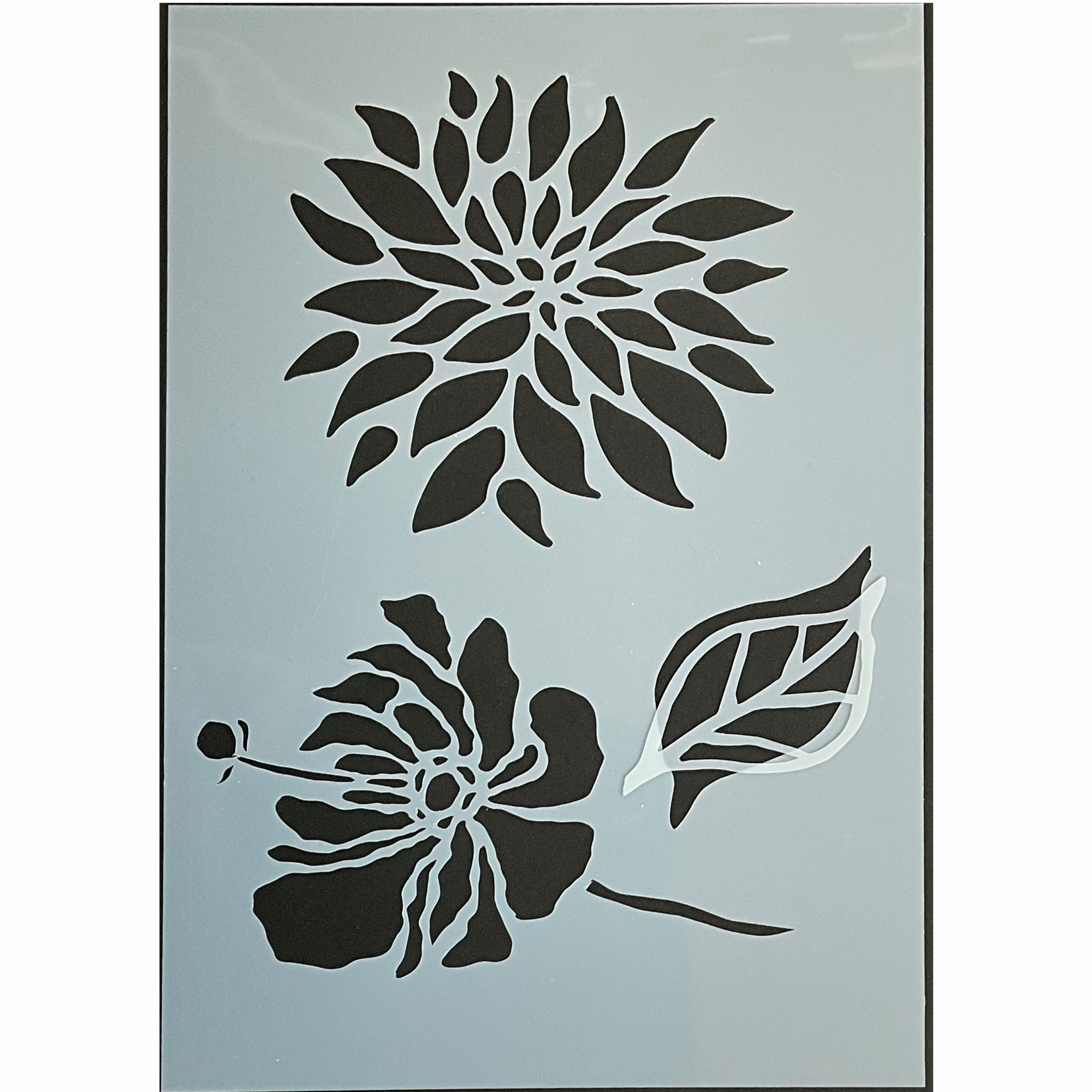 A5 Two flowers with leave