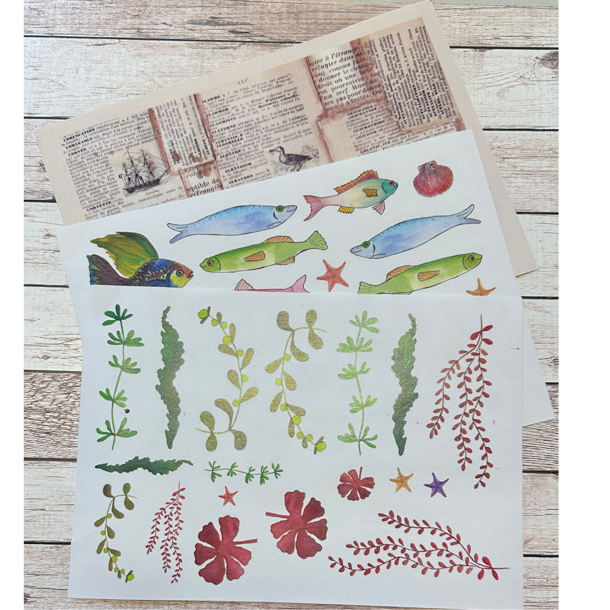 A5 Washi Sticker Set(3pieces): Ocean Treasures