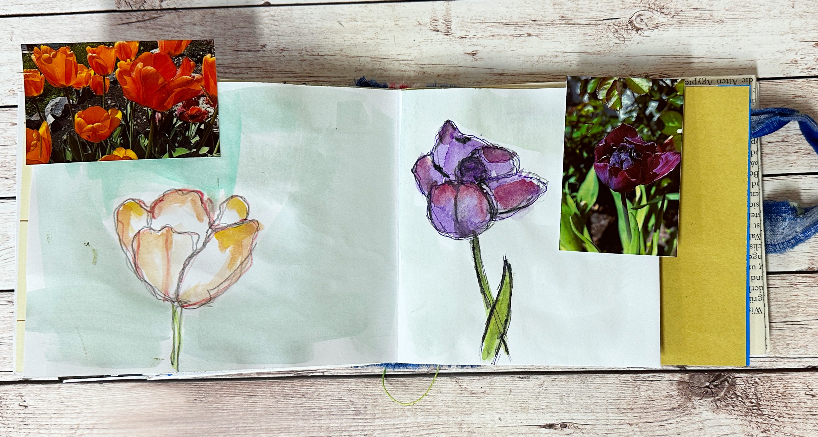 Tulip sketchbook page for free art journal prompt